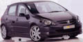 Peugeot 307, cliccare per ingrandire