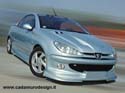 Peugeot 206, cliccare per ingrandire