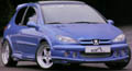 Peugeot 206, cliccare per ingrandire